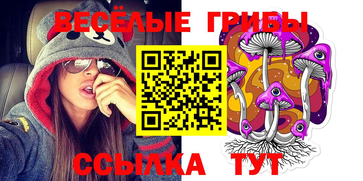 Галлюциногенные грибы GOLDEN TEACHER  Псилоцибиновые грибы мицелий  Вязьма  Вход с VPN 